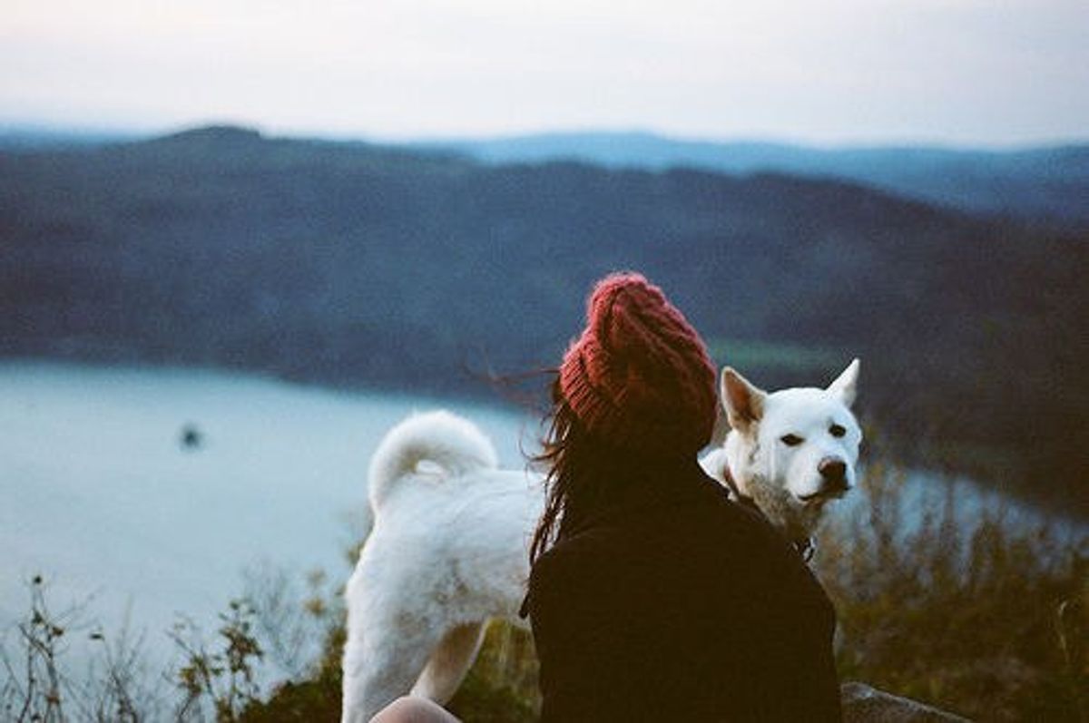 10 Reasons Why Dogs Are Better Friends Than People