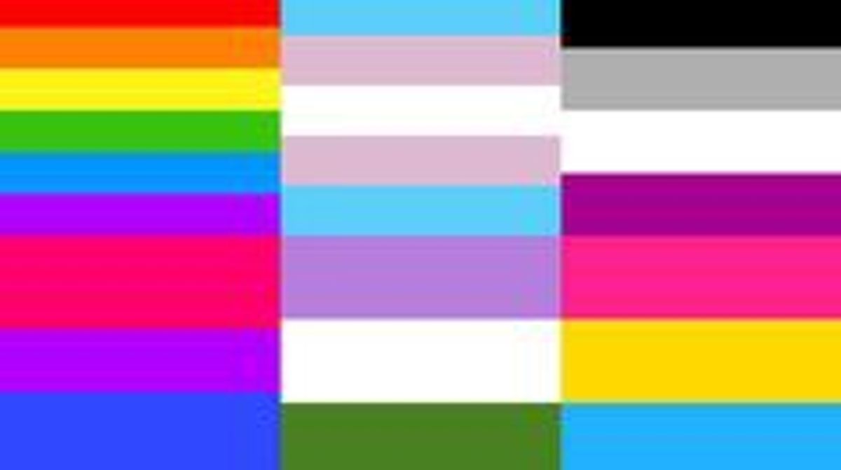 5 Gender/Sexuality Flags You Need to Know