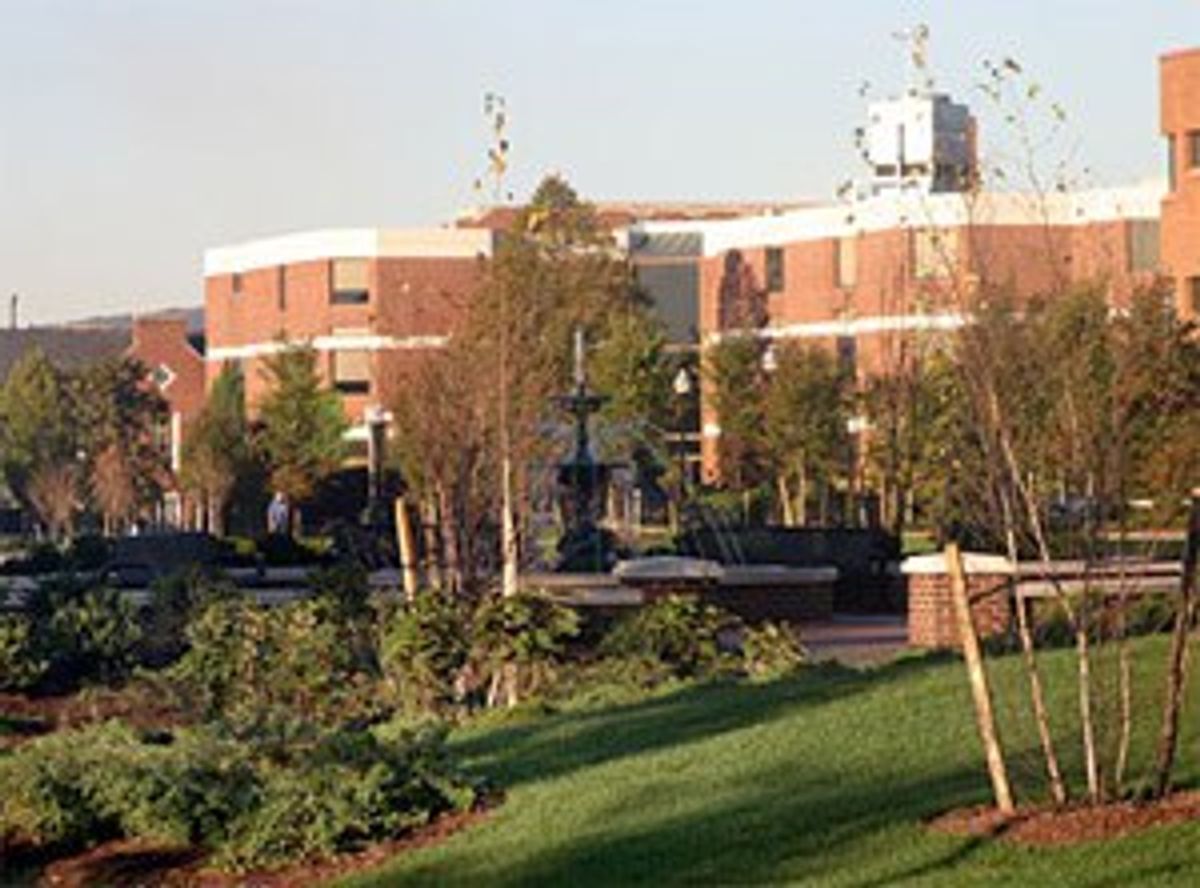 To The Professor Who Helped Me Fall Back In Love With My Major