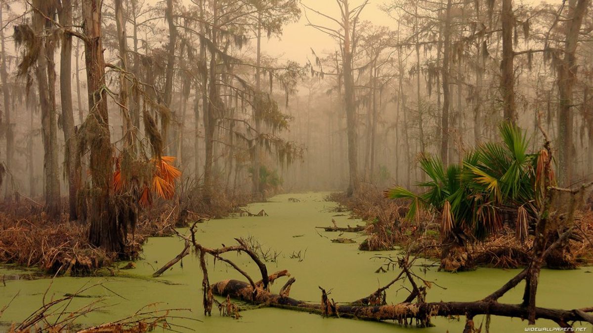 The 8 Most Affordable Summer Getaways In Louisiana