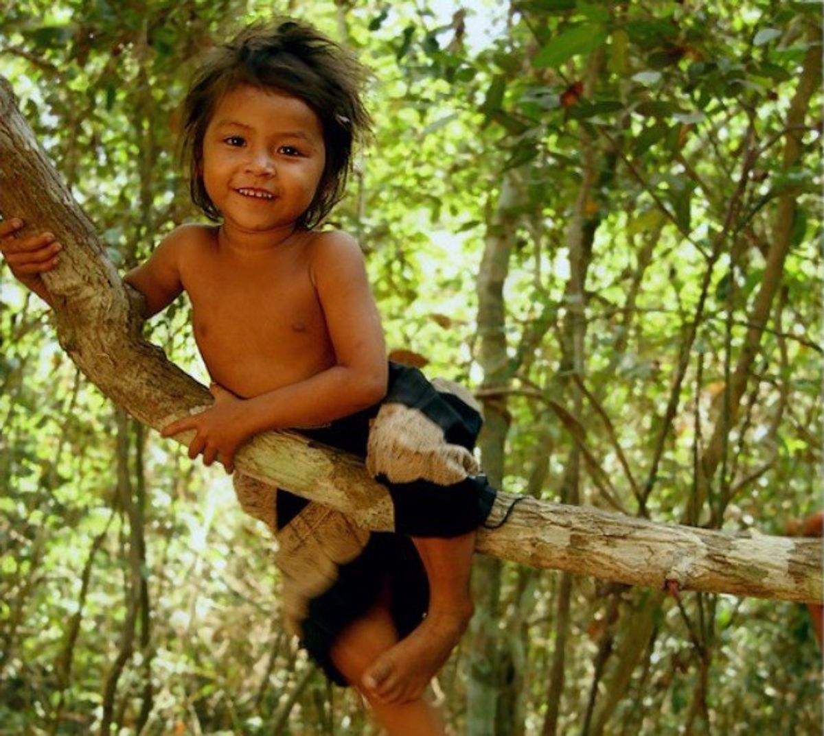 The Phenomenon Of "Mowgli Children"