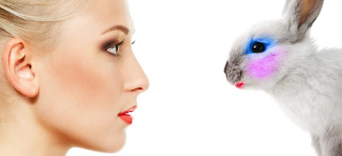 5 Makeup Brands That Claim They’re Cruelty-Free, But Actually Aren’t
