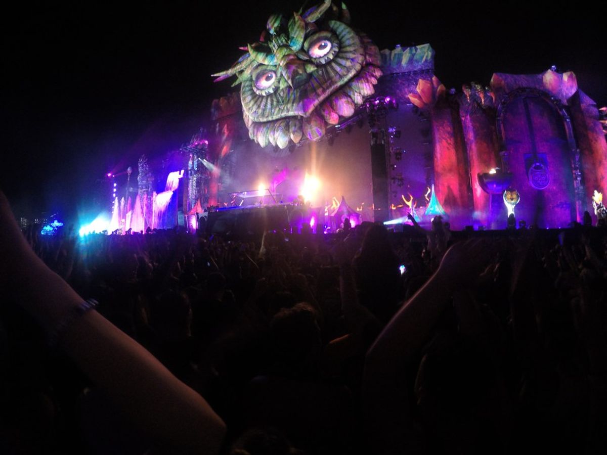 10 Things All EDM Festival Goers Know