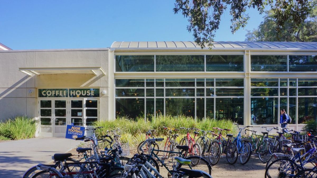 Looking At Sustainability On UC Davis's Campus
