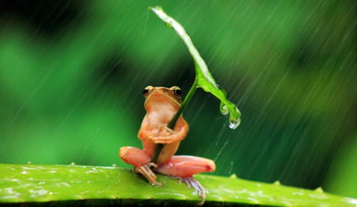 5 Reasons To Love Rainstorms