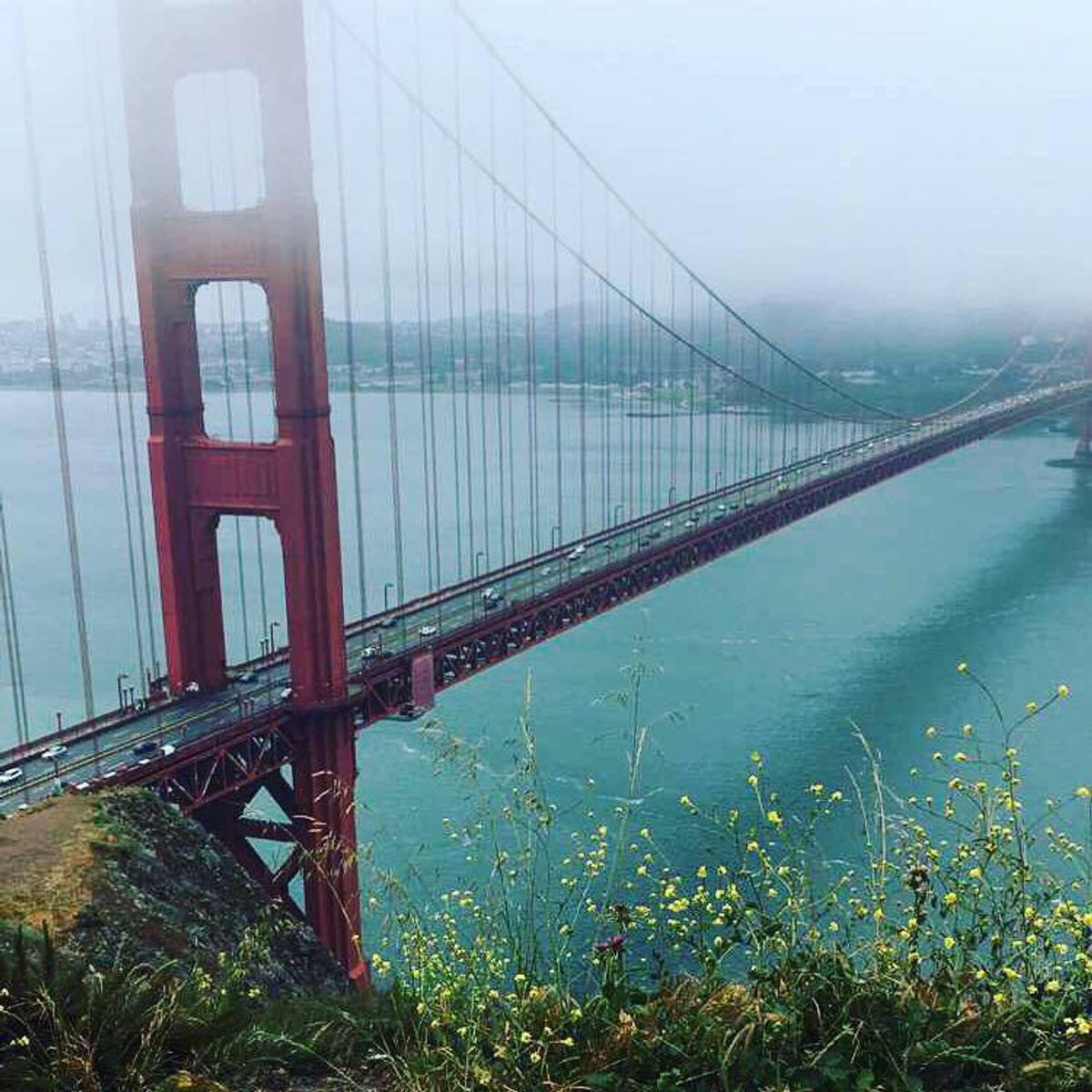 Summer Bucket List For Living In The Bay Area