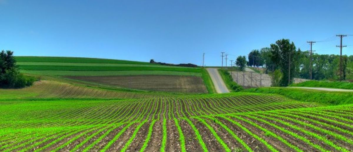 Why Spring Is My Favorite Season