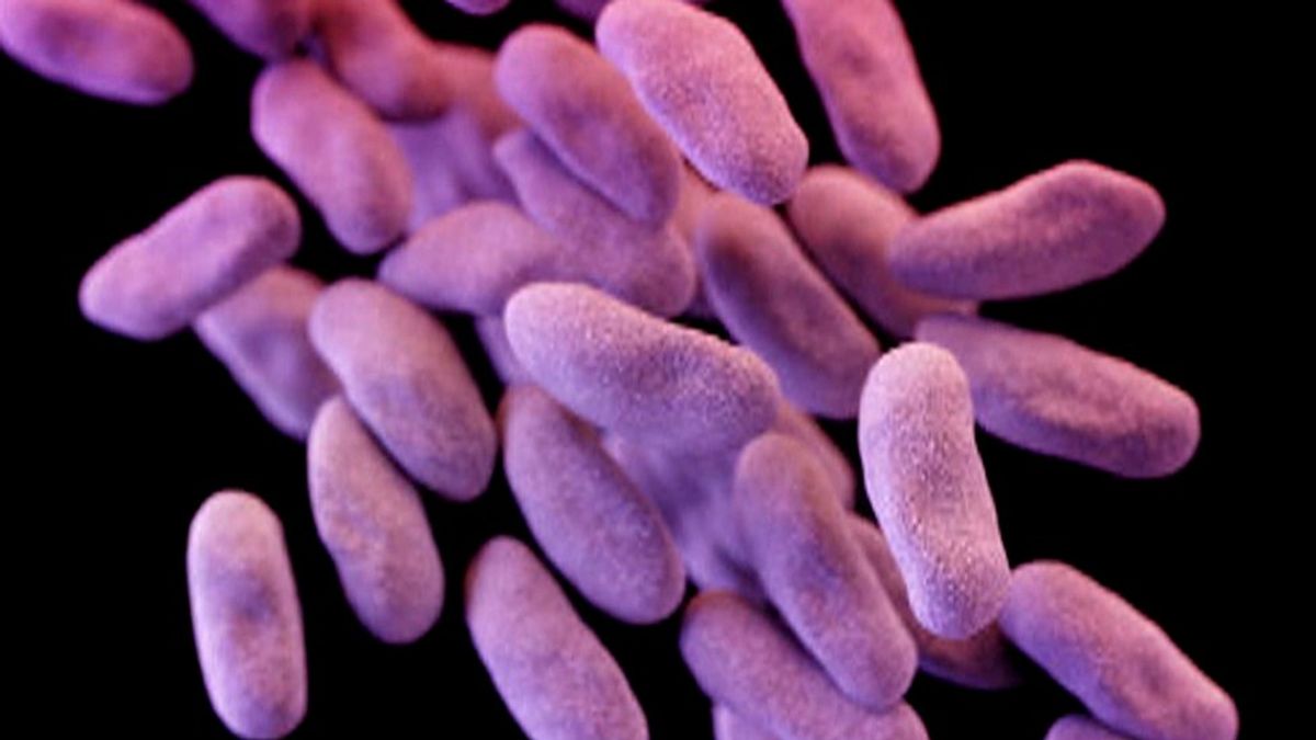 Antibiotic Resistance: The Start Of An Epidemic