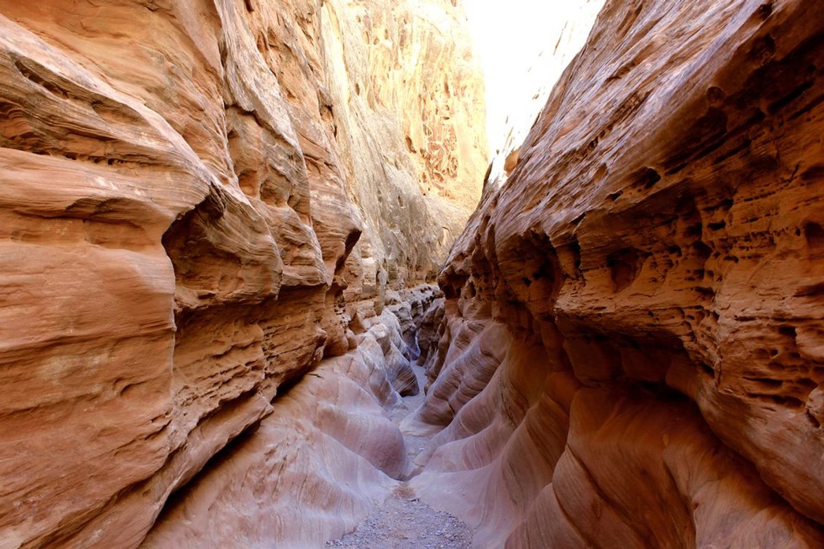 What Does It Mean To Be A Desert Enthusiast?