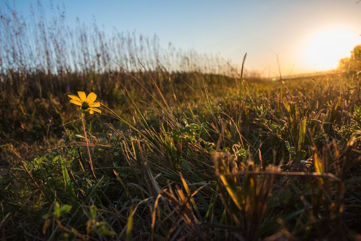 The Problem With Resilience