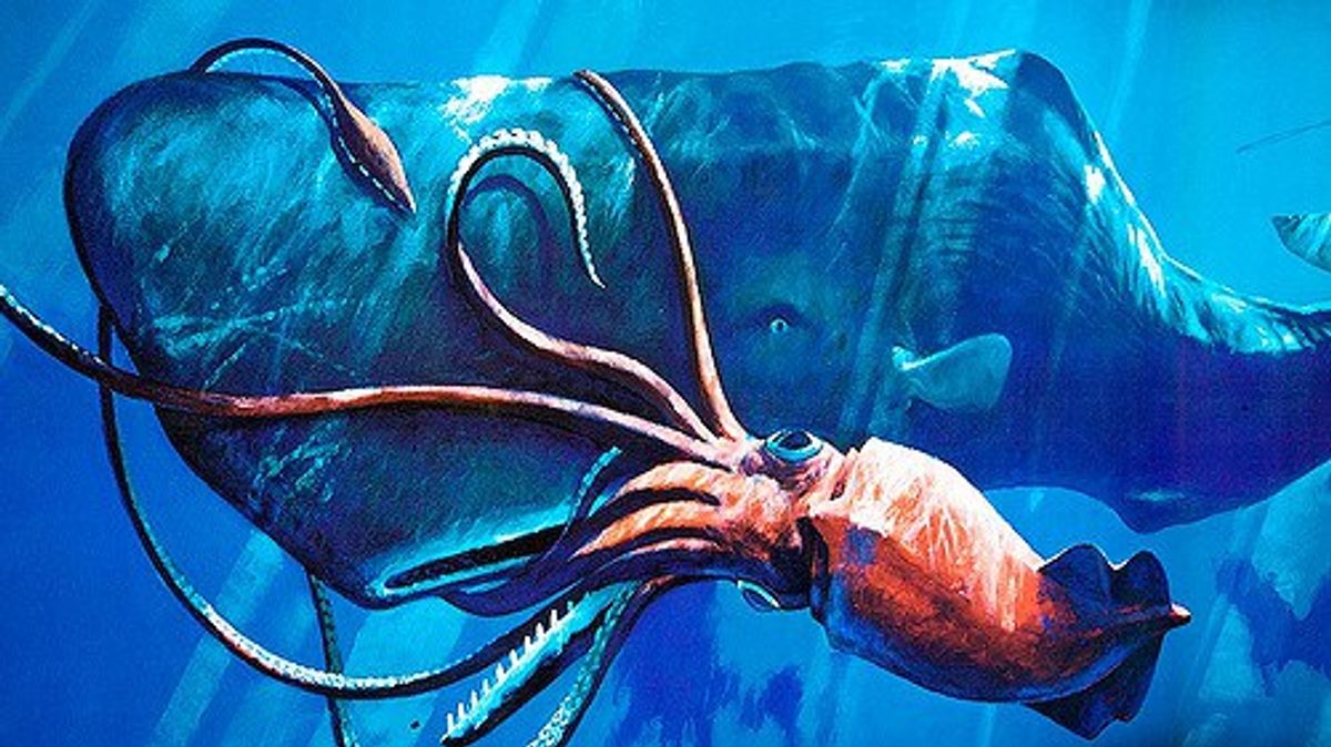 New Study Shows Possibility Of School Bus Sized Giant Squid