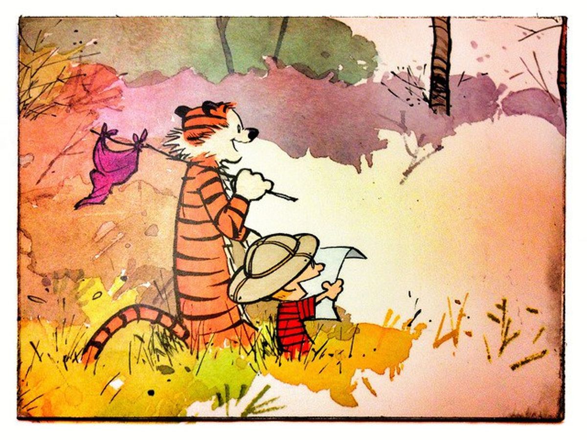 Calvin and Hobbes Are NOT Dead (They're Just Different)