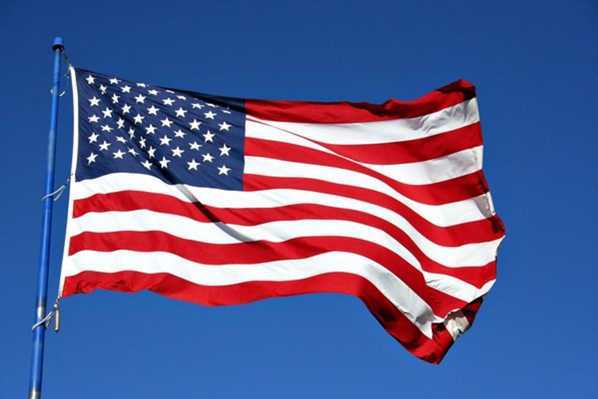 Burn a Sparkler, Not The American Flag
