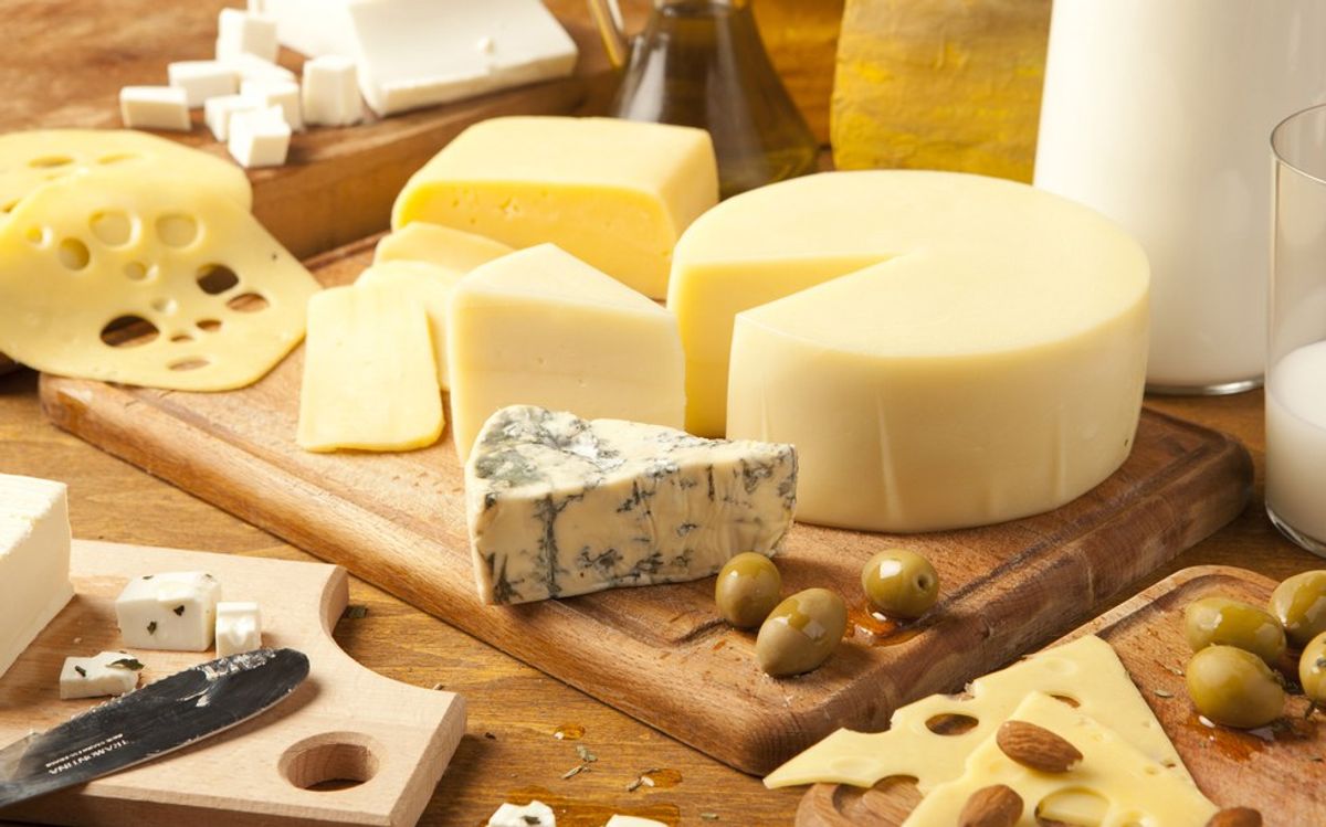 Cheese: The Glue That Holds Life Together