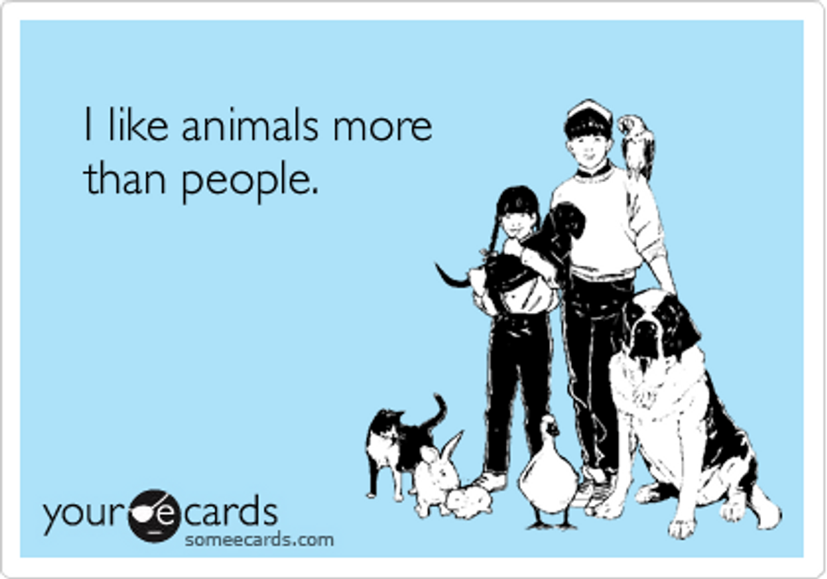 10 Signs You Like Animals More Than People