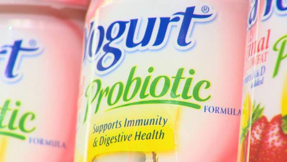 The Truth About Probiotics As Told By A Student Of Microbiology