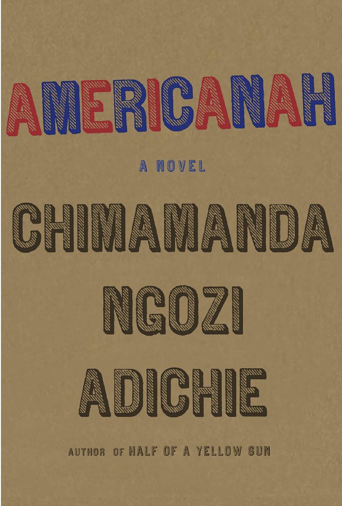 Through The Eyes Of "Americanah," Part 1