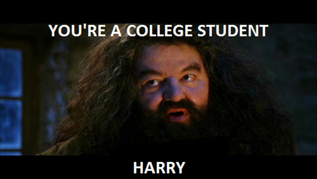 A Student's Guide To College As Told By 'Harry Potter'