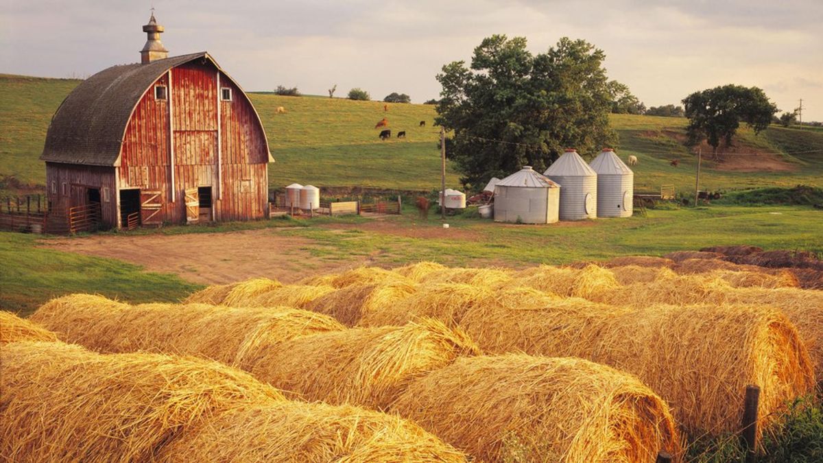 10 Reasons Why Farm Life is Better Than Any Other Kind Of Life