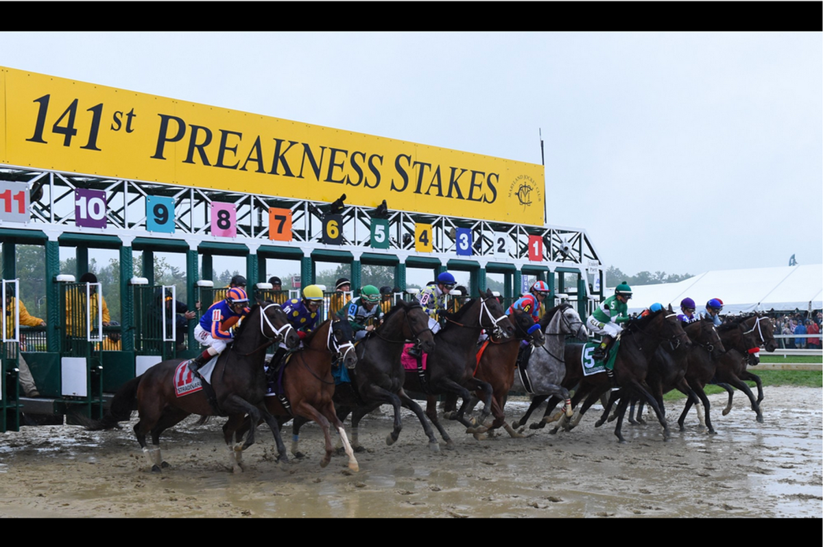 The Preakness Was Unfortunate, But Horses Are Not Being Abused