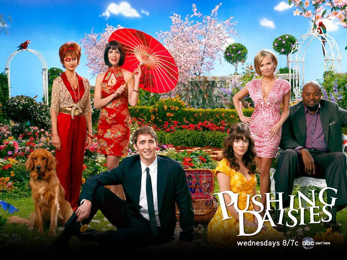 Why 'Pushing Daisies' Is Amazing