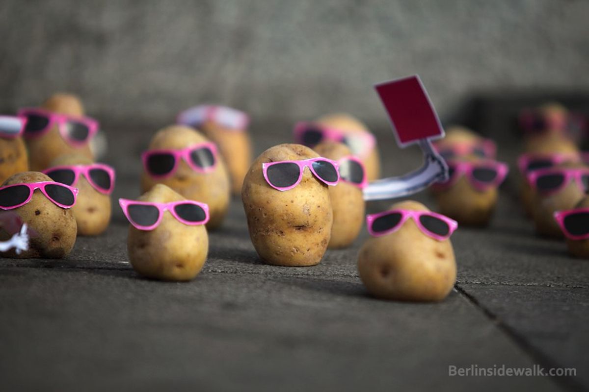 17 Cool Forms Of The Potato