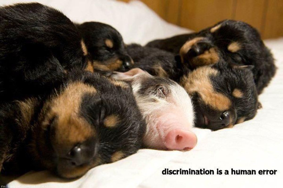 Discrimination: A Human Error