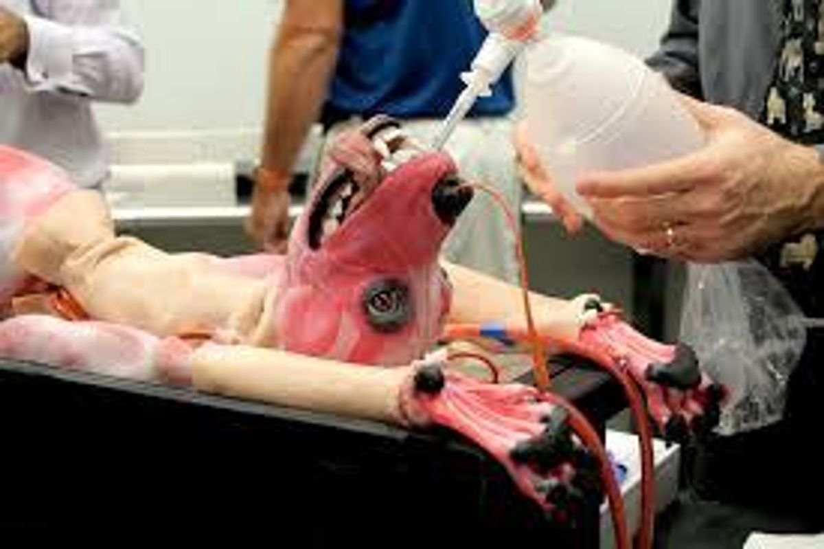 SynDaver Creates Synthetic Dog To End Animal Testing