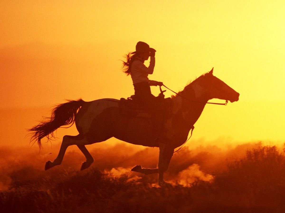 21 Signs You Might Be An Equestrian