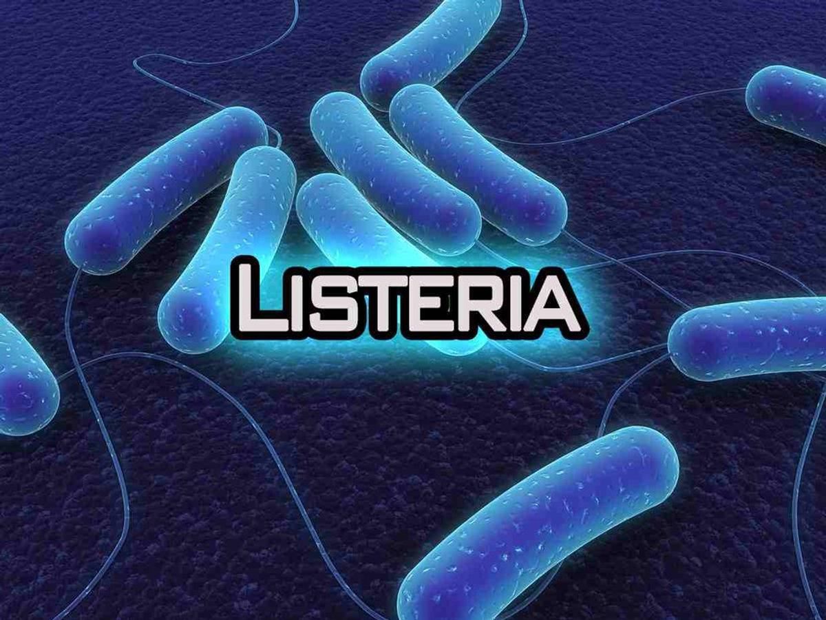 The Link Between Listeria And Food