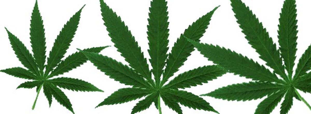 5 Reasons To Legalize Marijuana