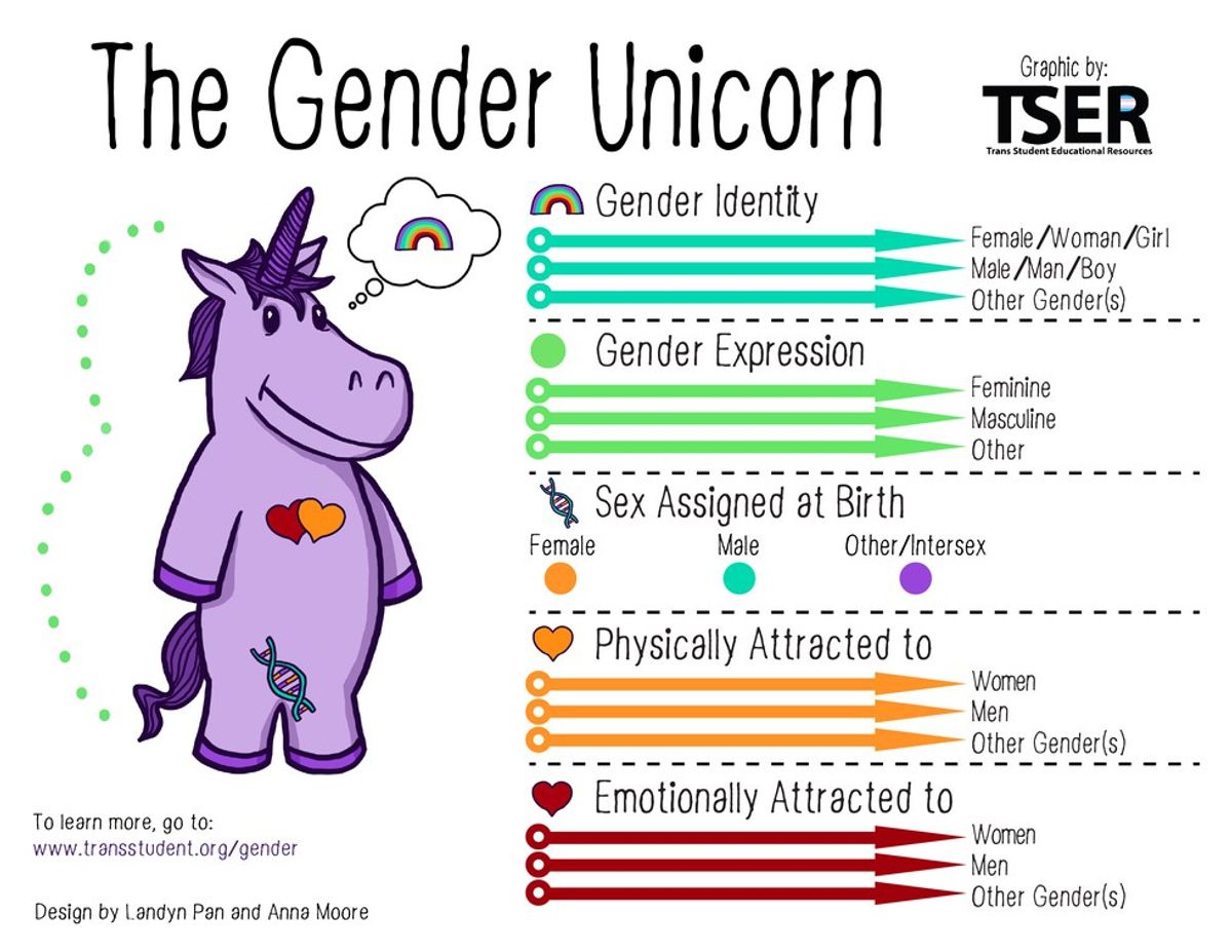 Your Crash Course in LGBTQIA+ terminology: Gender (Part 1)
