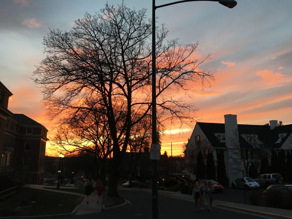 sunset in a neighborhood