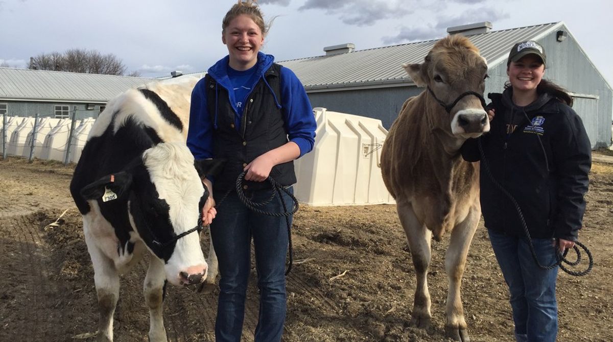 10 Things Dairy Farmers Want You To Know