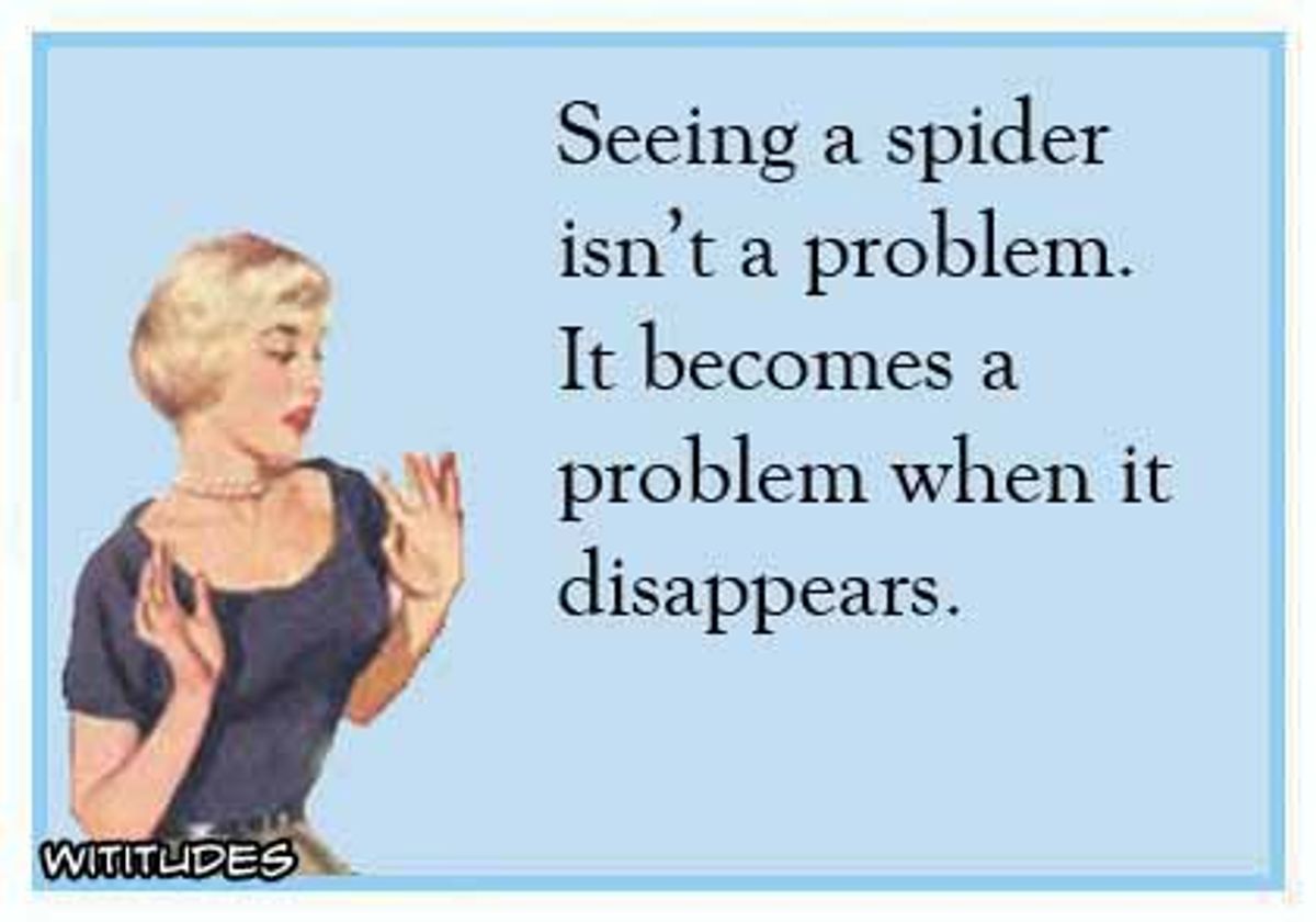 11 Thoughts You Have When You See A Spider