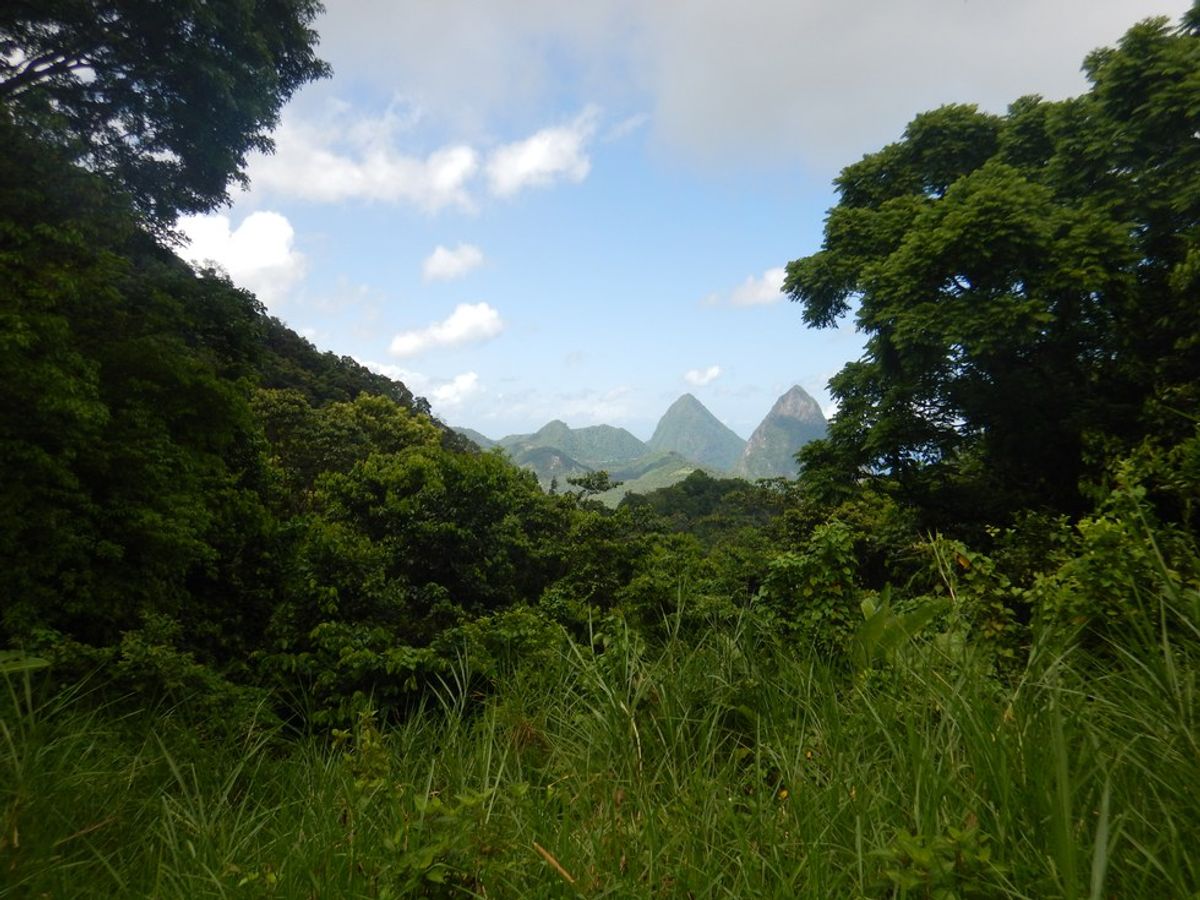 10 Reasons To Visit Saint Lucia