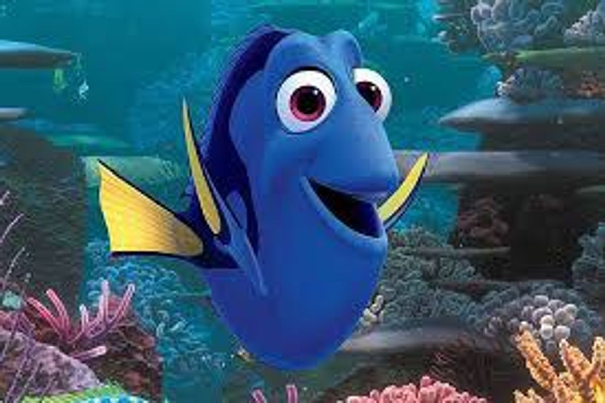 Summer Classes Survival Guide 101: As Told by Dory