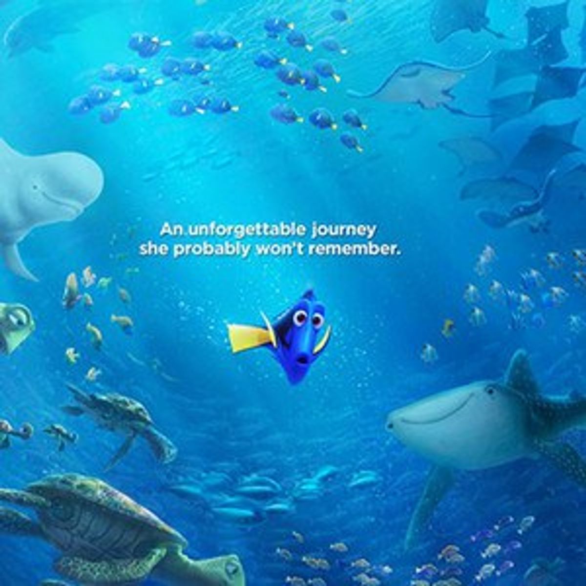 7 Reasons To Go See 'Finding Dory'