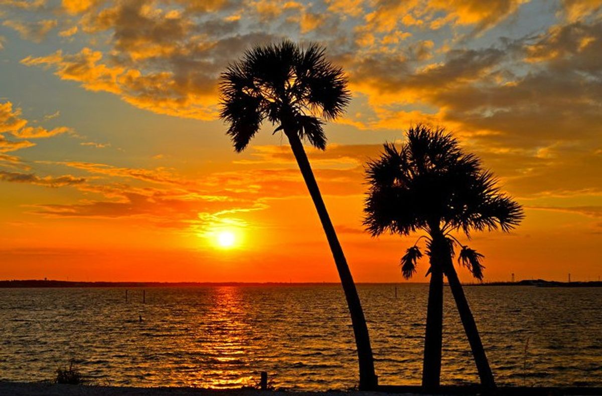 5 Signs It's Summer In Florida