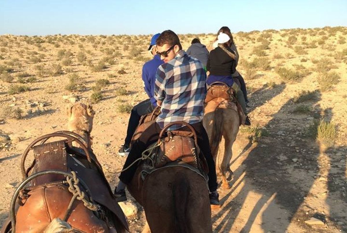 Why Camels Are The Worst Form Of Transportation