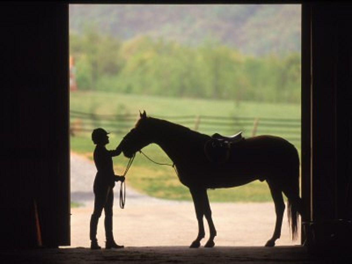An Open Letter To Equestrians