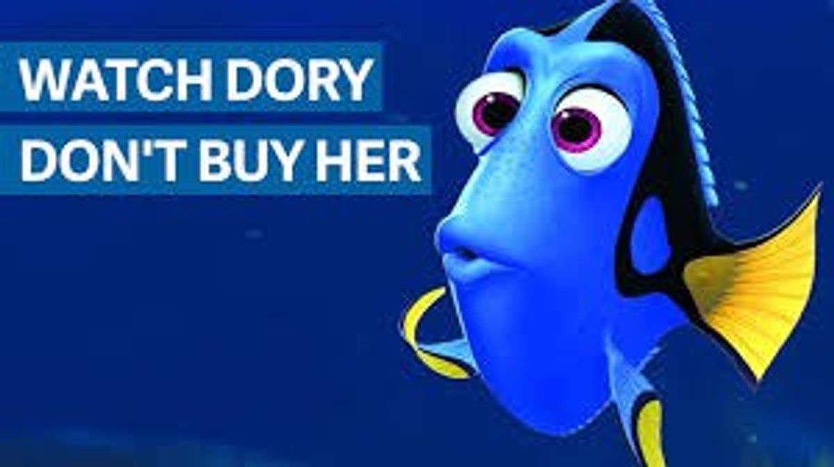 "Finding Dory" Finds Disaster