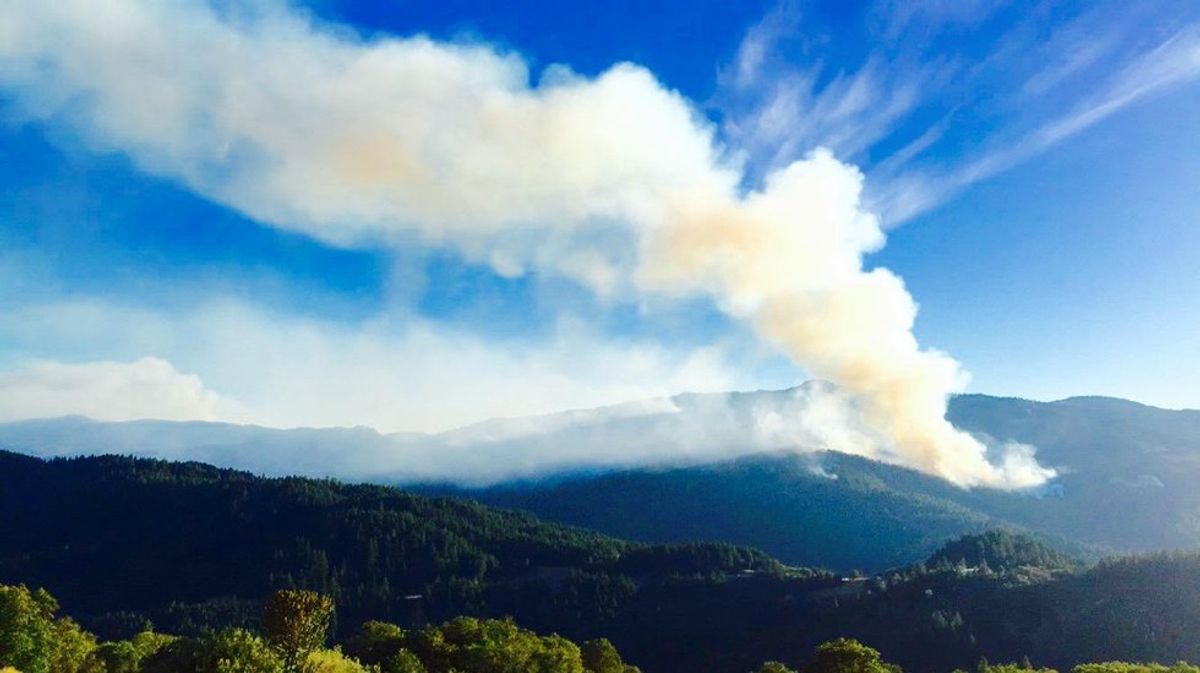 How Working In Wildland Fire Can Change Your Life For The Better.