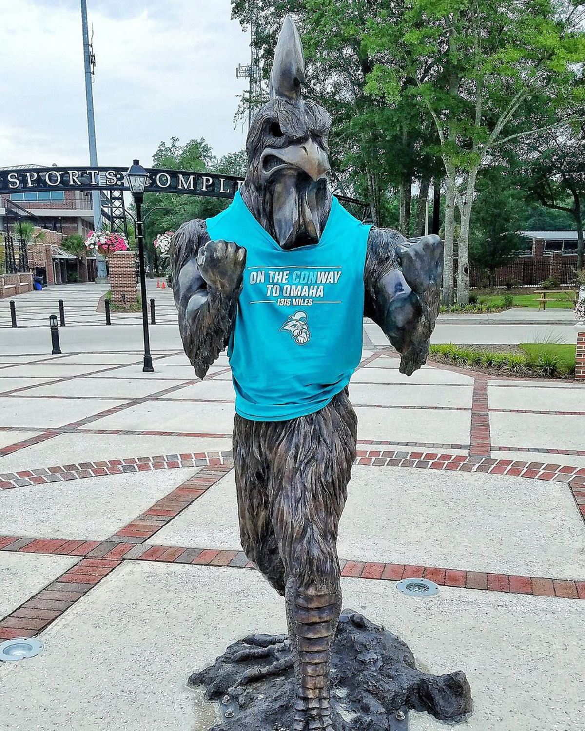 15 Feelings Every Chanticleer Had While Watching The College World Series