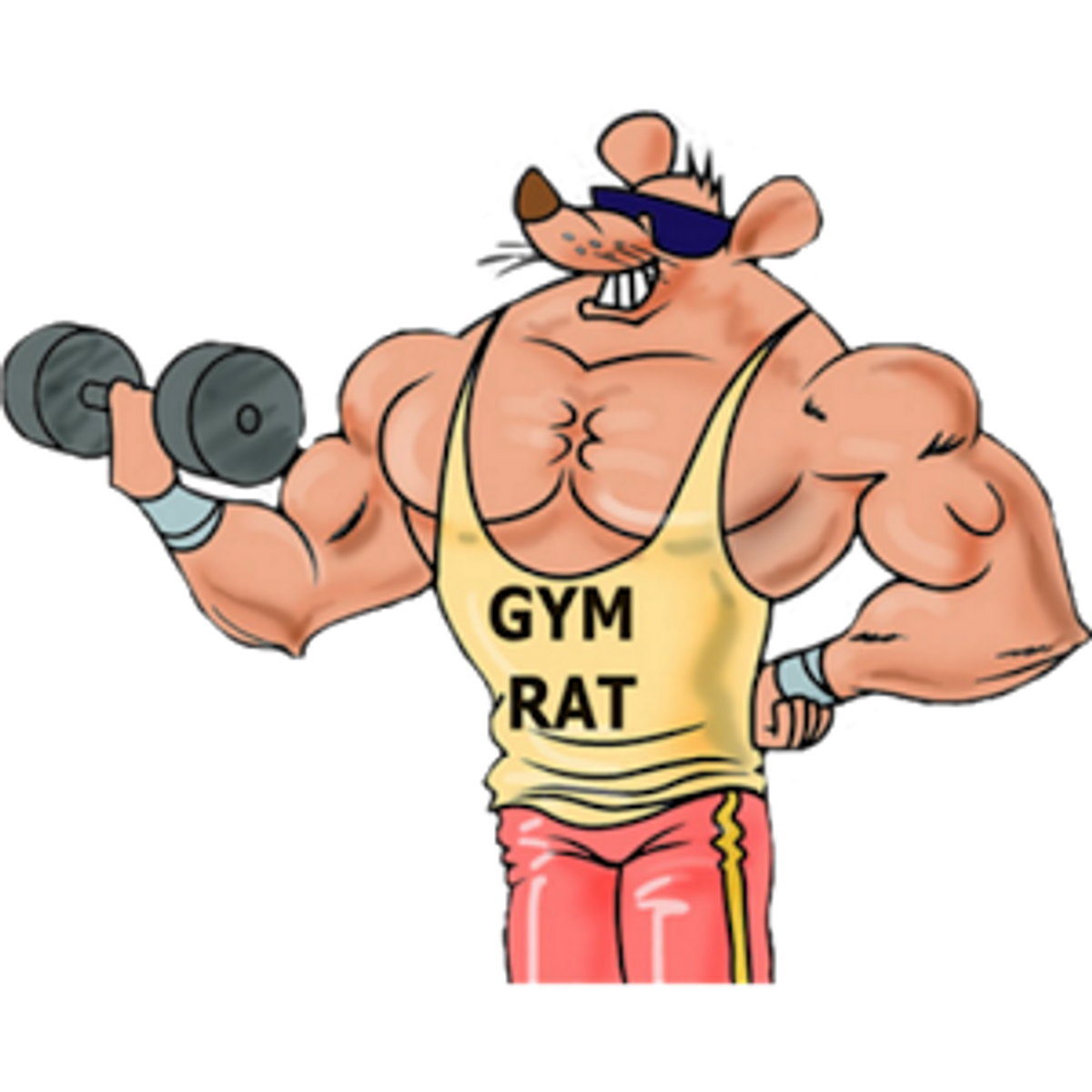 The New Gym Rat
