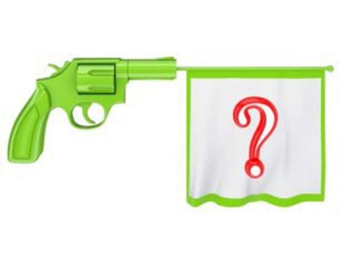 What Should Be Done About Guns?