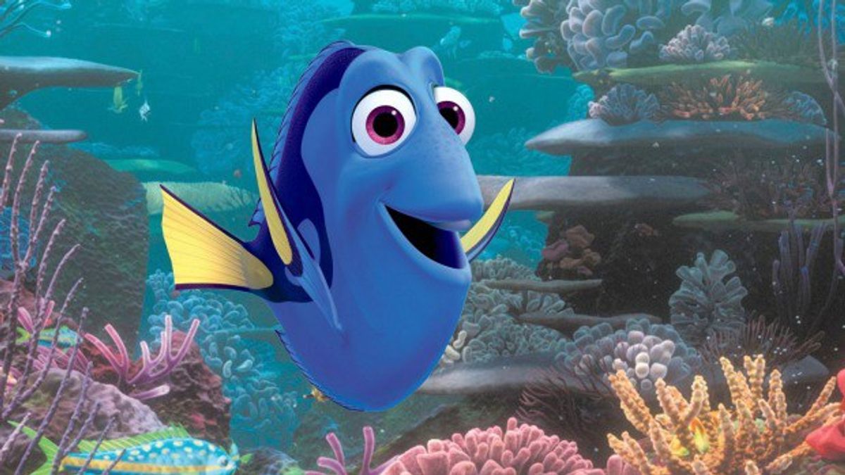 Why You Shouldn't Buy the 'Finding Dory' Fish