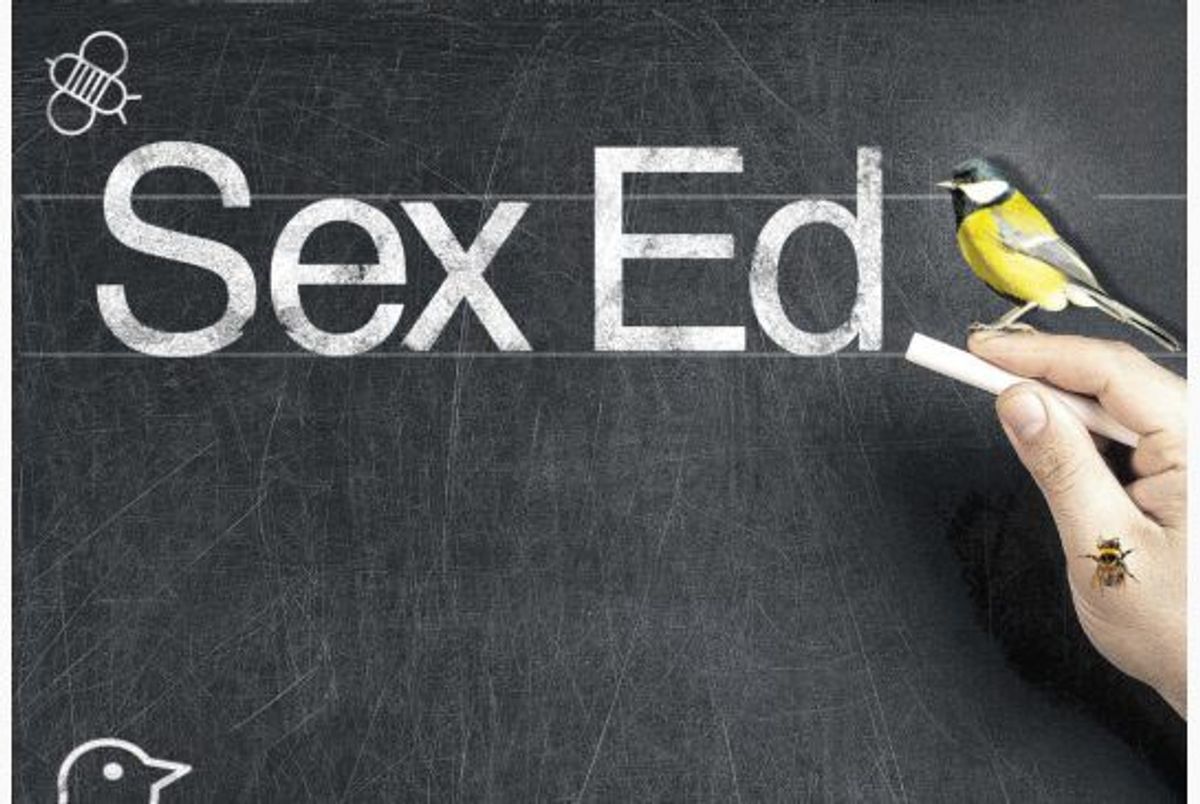 Sex Education, Plan B And Knowing Our Options