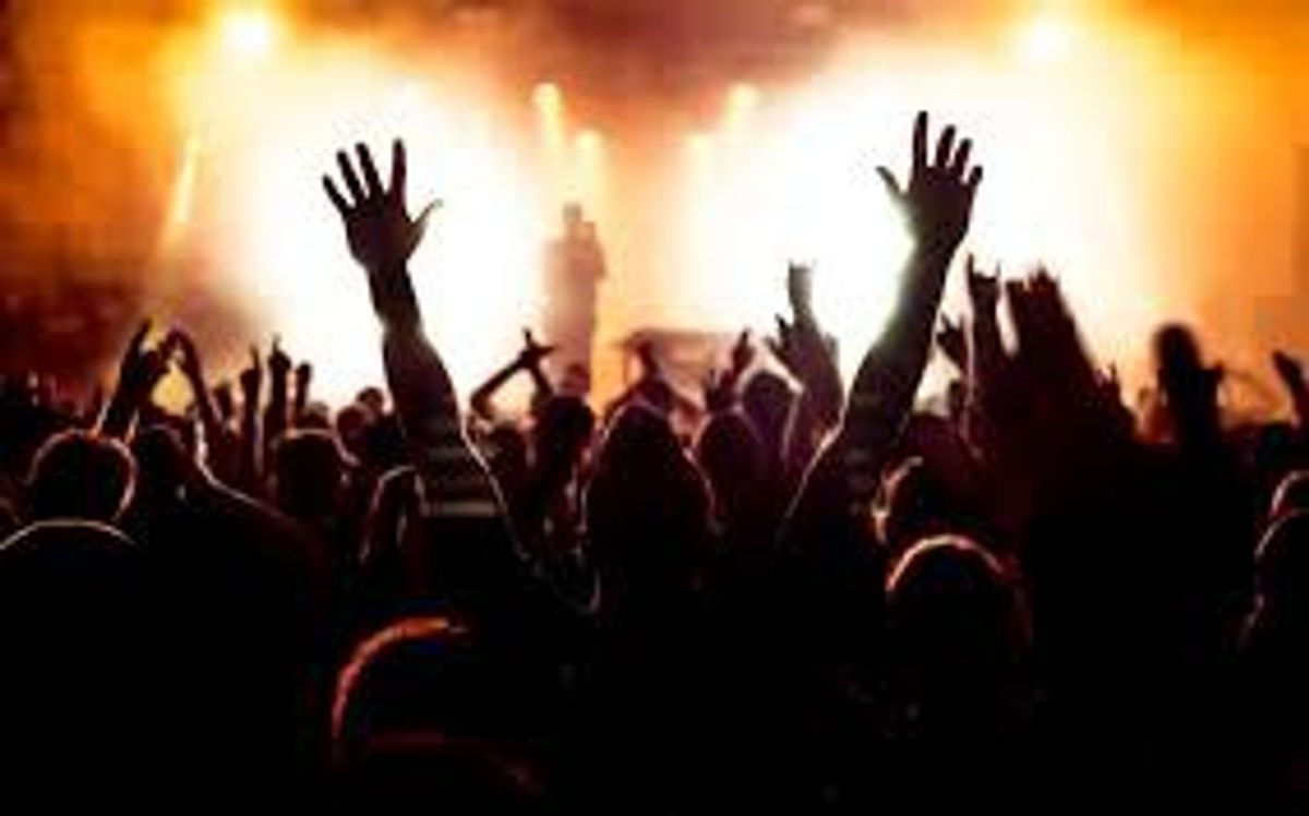 8 Types Of People You See At A Concert