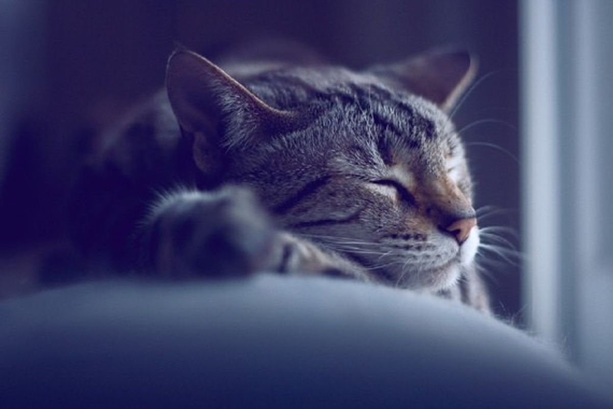 6 Ways To Help You Fall Asleep
